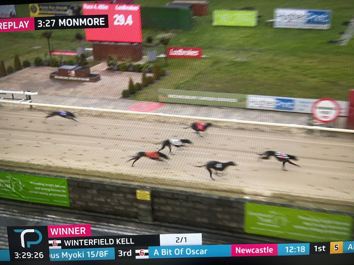 Darrell Williams tweet media