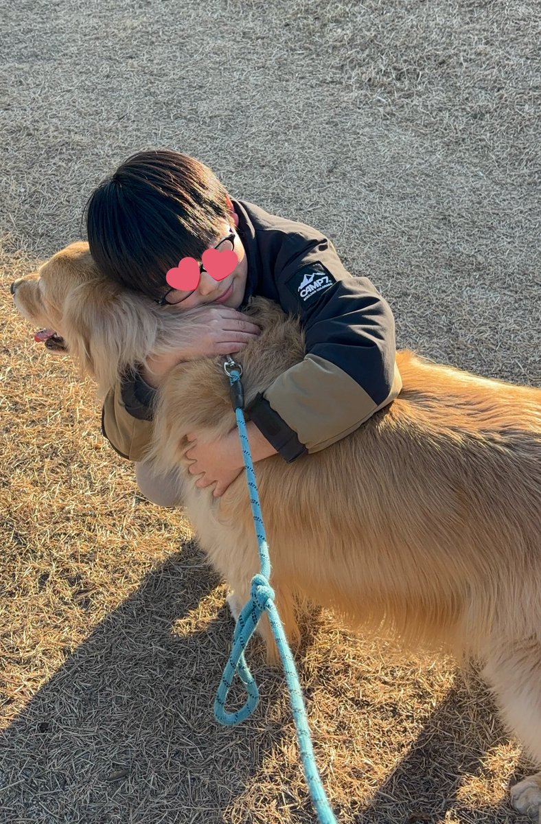 nellposu's tweet photo. 愛犬と共に過ごせるほんの十数年が、子供達にとってかけがえのない宝物になりますように

父ちゃん知ってるんだ
犬と暮らした喜びも、お空に行っちゃった悲しみも

一秒でもながくこの時が続いてほしいな

#ゴールデンレトリバー 
#バーニーズマウンテンドッグ
#愛犬 https://t.co/8E7jBmfbQs