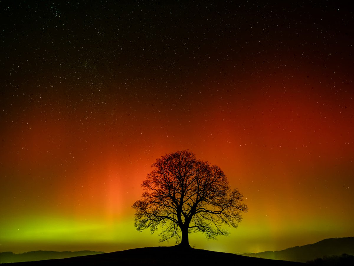 GabiStepankova's tweet image. Northern Lights - Czech Republic 19th January 2026

© Jaroslav Hora