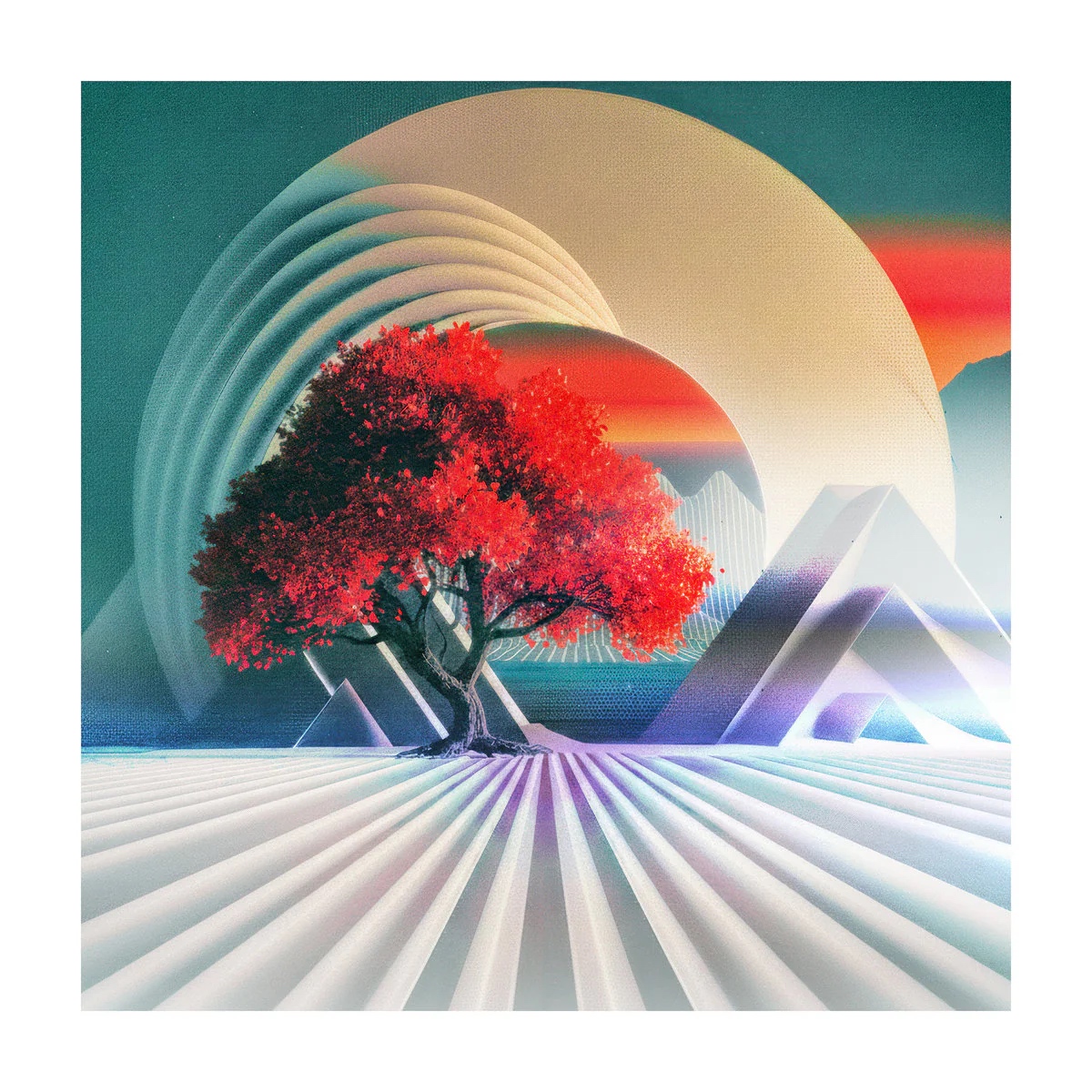 Norman Records tweet media