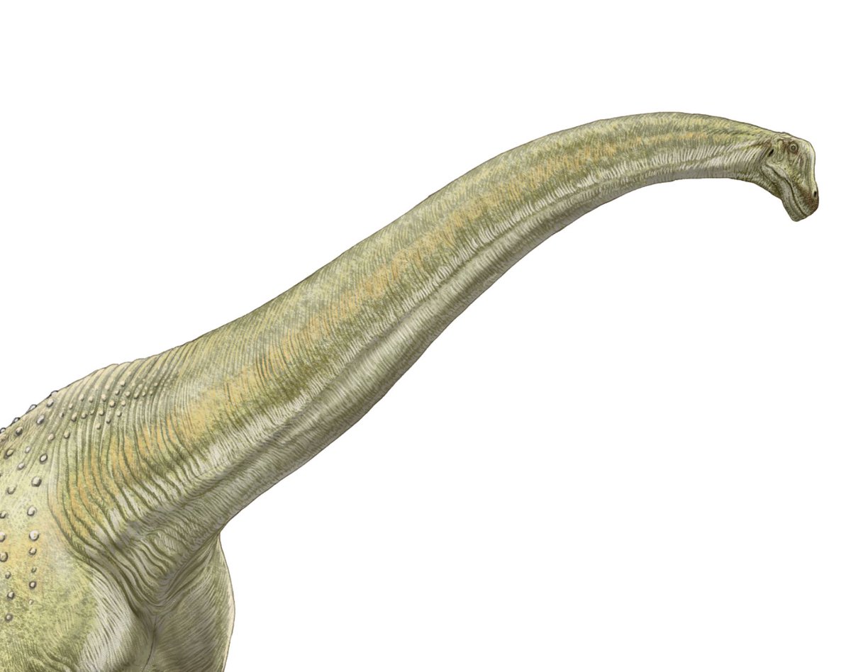 小田 隆 Oda Takashi tweet media