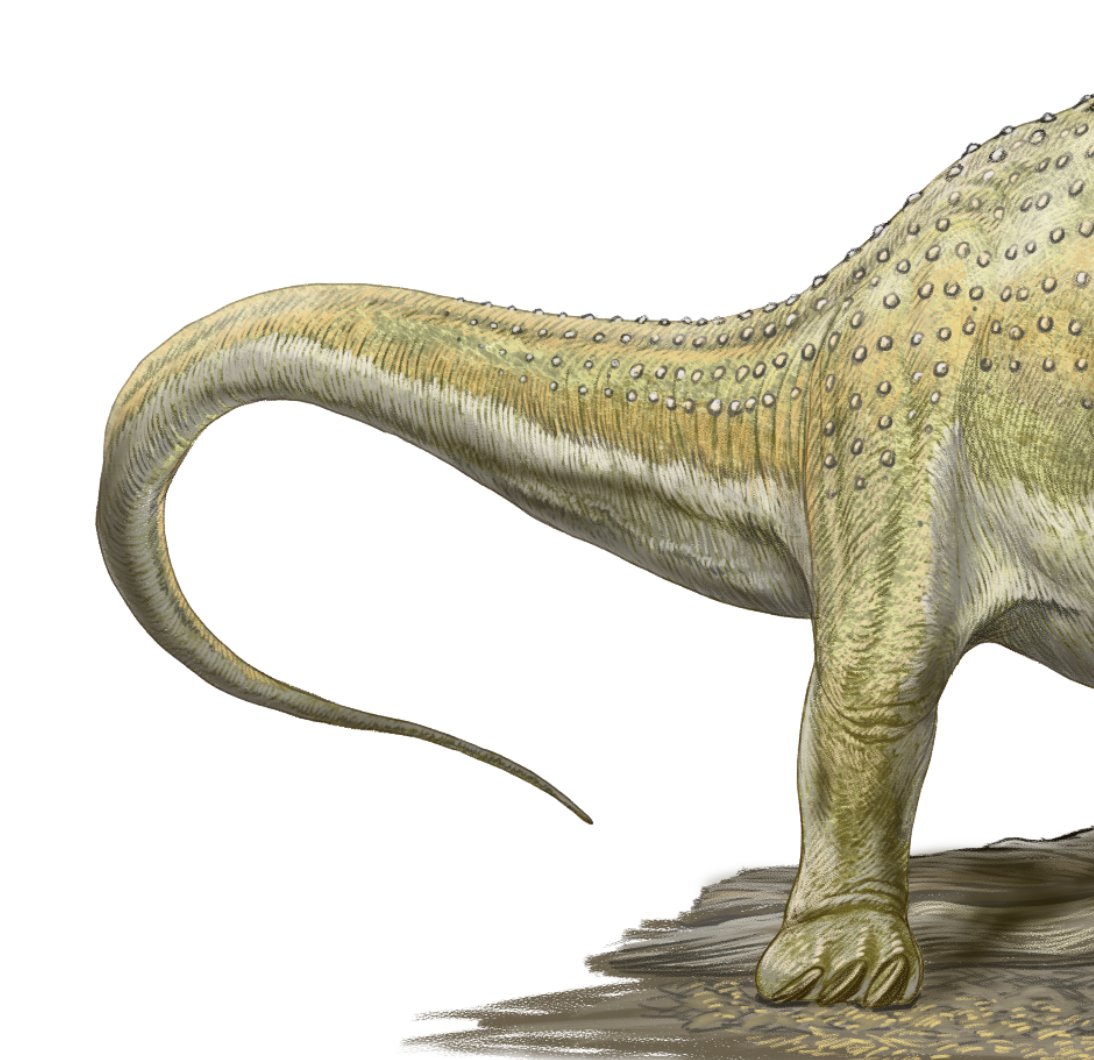 小田 隆 Oda Takashi tweet media