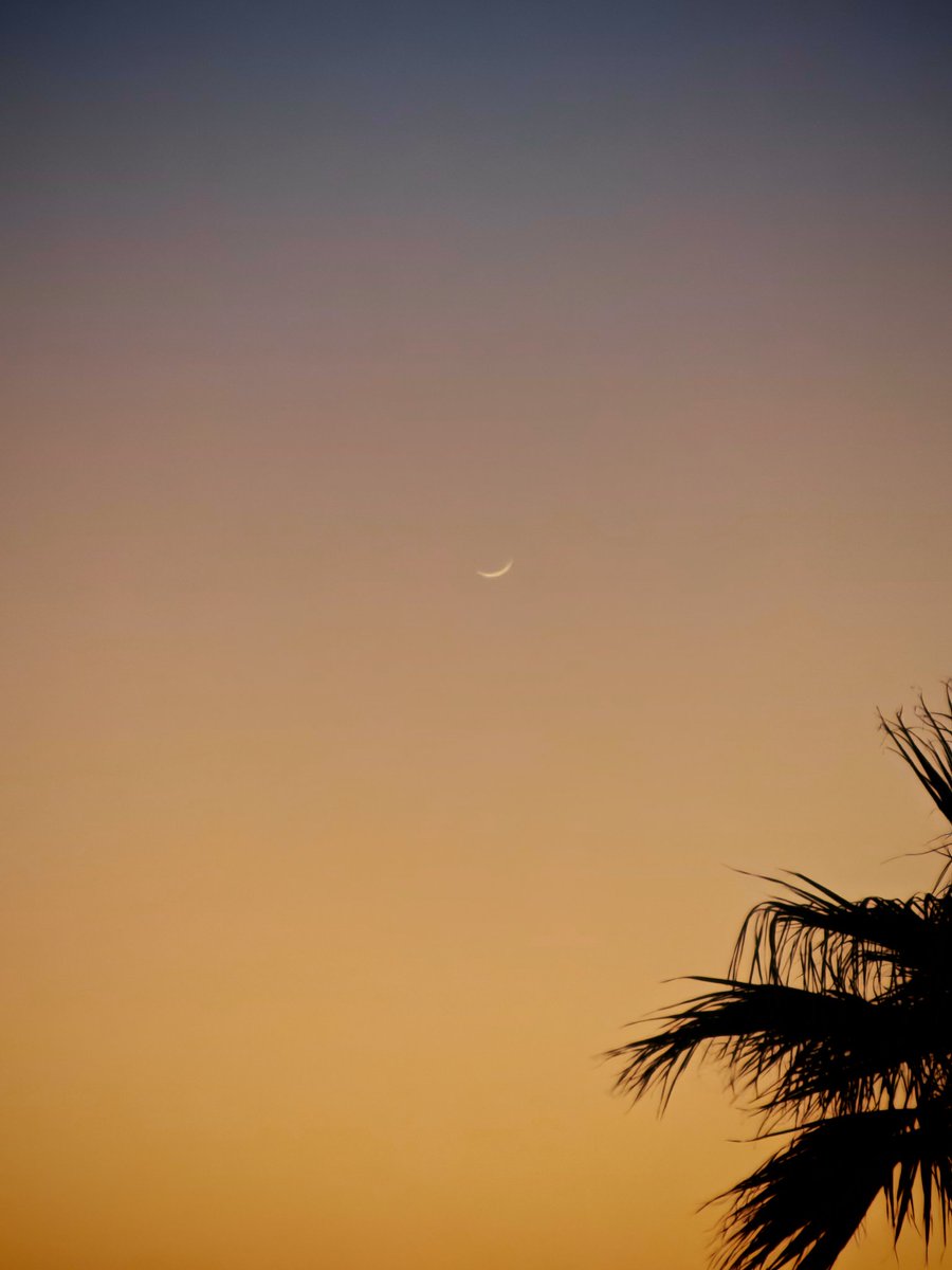 TMIA9's tweet image. السلام عليكم ورحمة الله وبركاته
🔴ضعها في مفضلتك وشاركها🔴
الروزنامة المناخية الفلكية  
لدخول شهر رمضان🌙 بمشيئة الله
 وبداية عيد الفطر 🎉
ويوم عرفة وعيد الأضحى🐑
الروزنامة ممتدة إلى عام 1480 هجري

الله يلحقنا ويلحقكم خير 
🔴يوافق دخول رمضان فلكياً 1447 يوم الأربعاء 18فبراير…