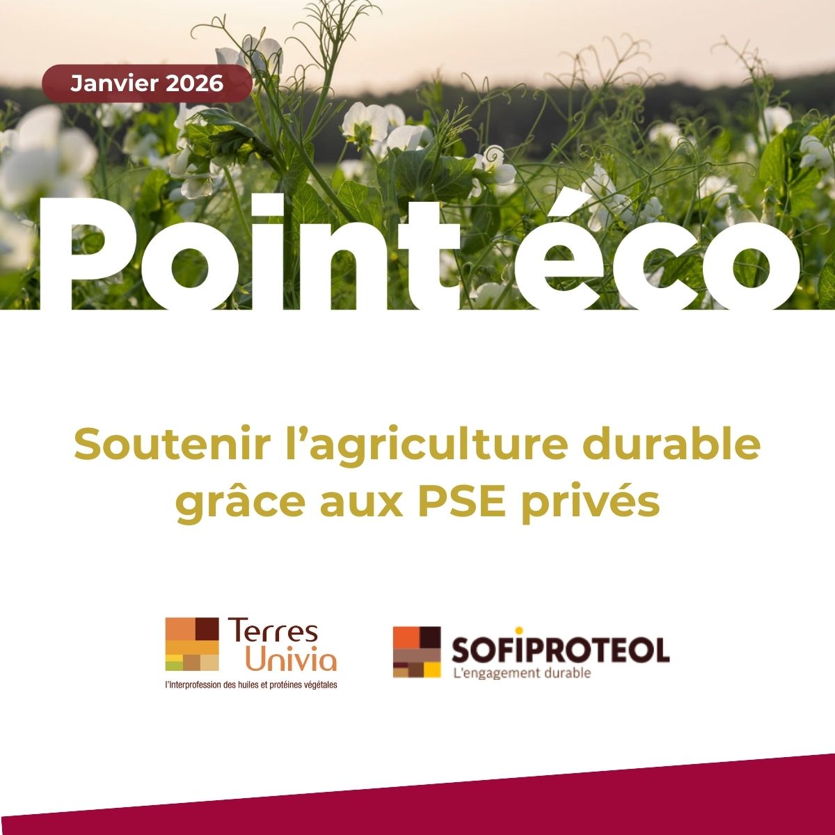 terresunivia's tweet photo. [POINT ECO]

🌱  𝗦𝗼𝘂𝘁𝗲𝗻𝗶𝗿 𝗹'𝗮𝗴𝗿𝗶𝗰𝘂𝗹𝘁𝘂𝗿𝗲 𝗱𝘂𝗿𝗮𝗯𝗹𝗲 𝗴𝗿𝗮̂𝗰𝗲 𝗮𝘂𝘅 𝗣𝗦𝗘 𝗽𝗿𝗶𝘃𝗲́𝘀

Mise en lumière d'une étude menée par GreenFlex et pilotée par Sofiprotéol, @terresinovia , Terres Univia et la @FopProducteurs 

🔗 https://t.co/36dZxBWoz3 https://t.co/09SZw1zJaV