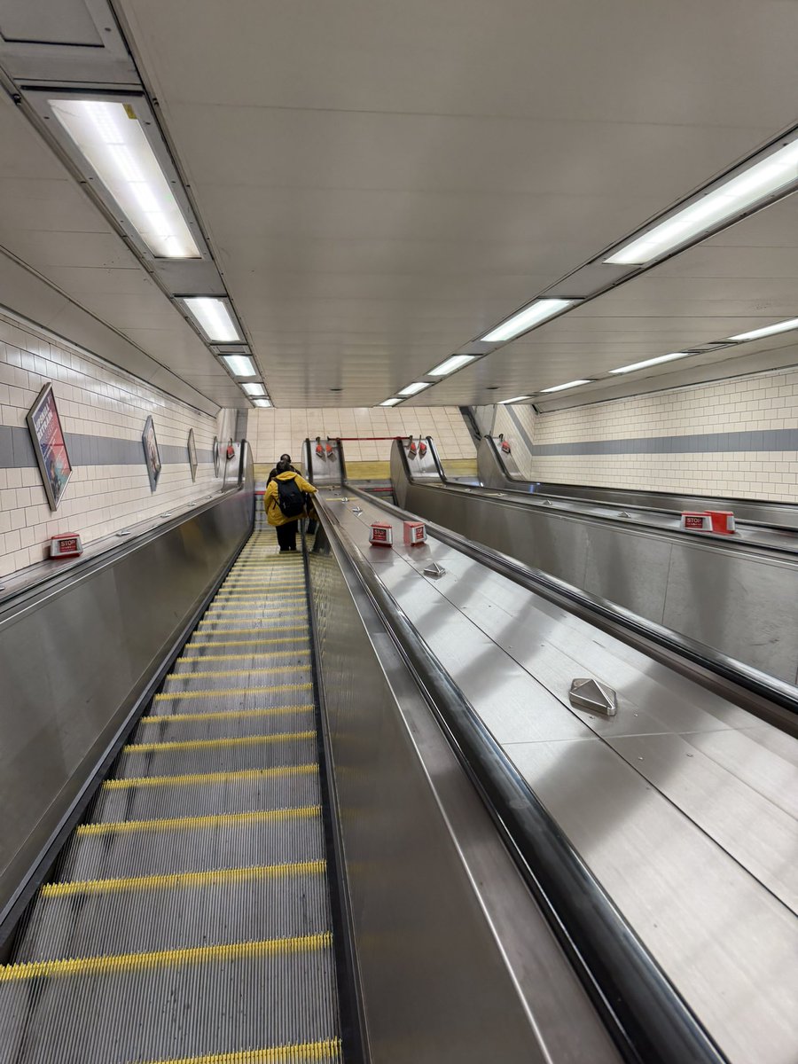 Paul Whitehead tweet media