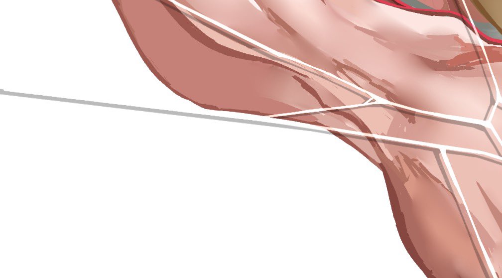 ぴたの🫎skeb⭕️ tweet media