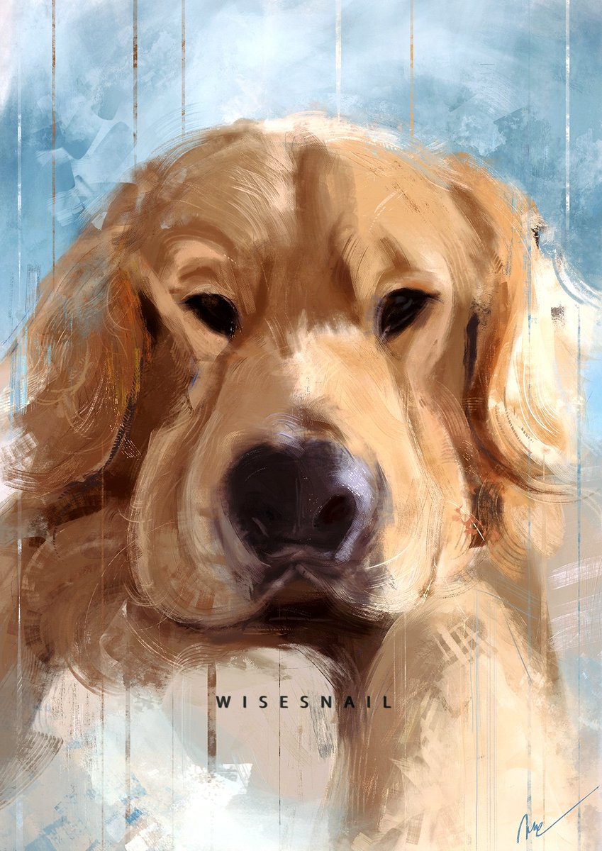 WisesnailArt's tweet photo. I've been feeling a bit  overwhelmed lately, for personal and universal reasons. So I decided to once again use my free will to paint #dogs ✨

I bumped into the IG account of @zebbythegolden and I couldn't resist his charm! 

#GoldenRetriever #dog #speedpainting #wisesnail https://t.co/cJZtBYUMVg