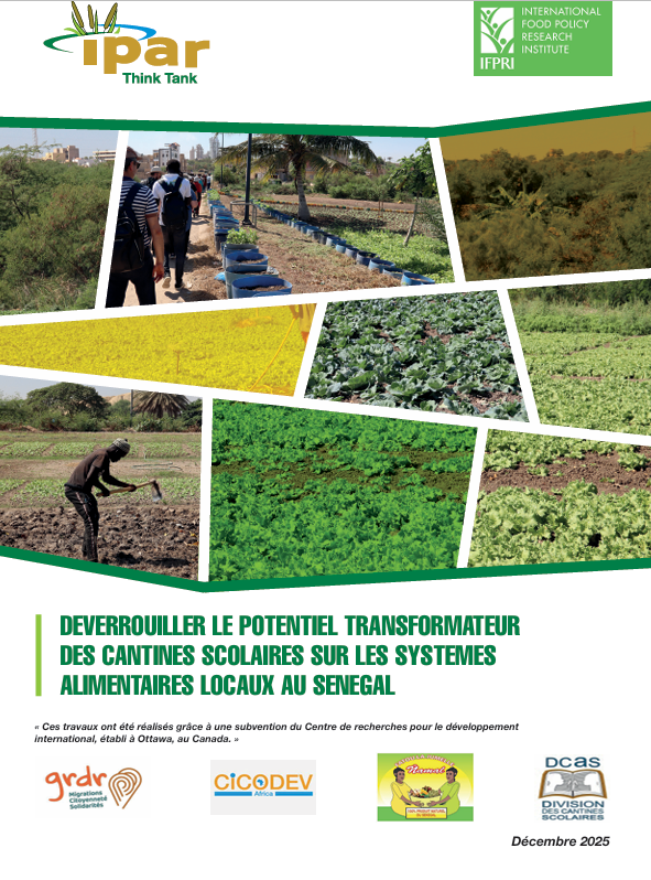 IPAR_Think-Tank 🇸🇳 tweet media