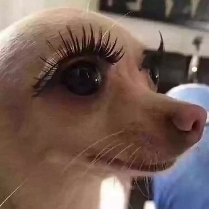 최근엔 물상론 공부해서 보이지 않는 곳을 벗겨보고 있습니다 좀 더 가볍게 보고 있지만 궁금한 사주가 있다면 알려주세요 해석해볼게용
posty.pe/uuhh98