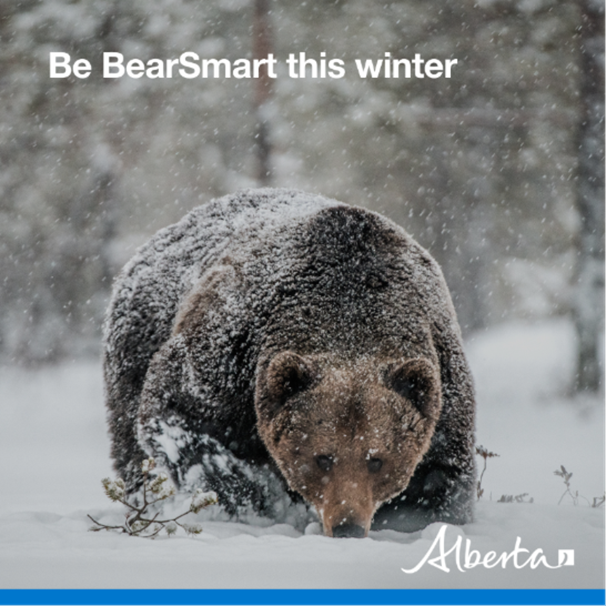 Alberta Forestry and Parks tweet media