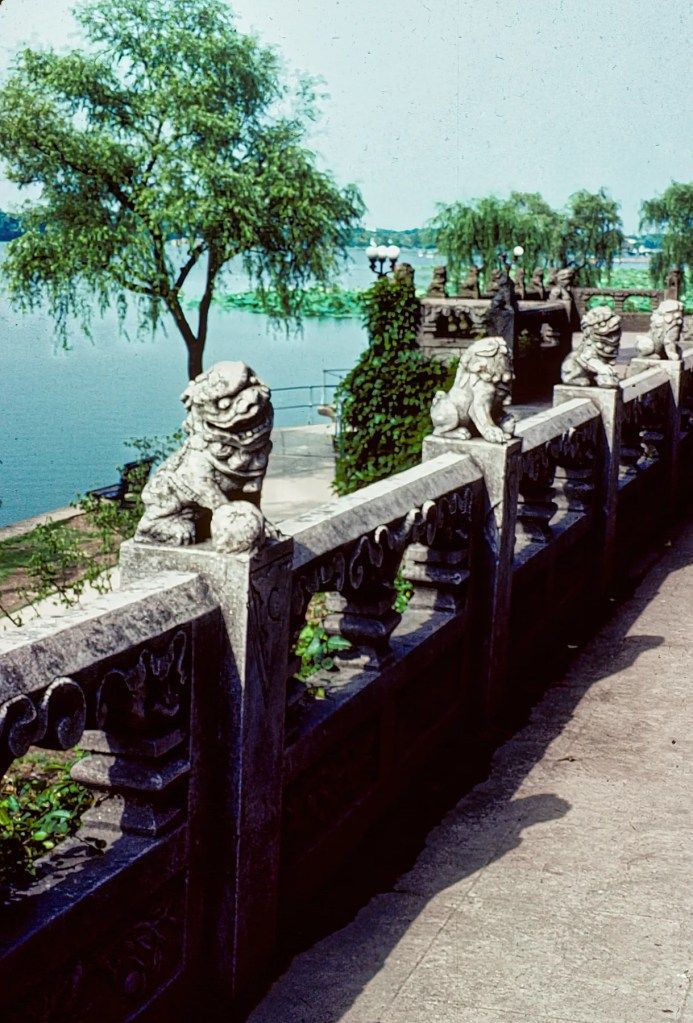 TerraEncounters's tweet photo. West Lake is a relaxing, traffic-free walk in #Hangzhou.  Why is this not a simple guardrail?

https://t.co/h9rXDi5MRj

#ChinaTravel #ChinaTravelGuide #ChinaTravelTips #ChinaCulture #China #travel #ChinaTrip #photography #traveltuesday #travelblogger #culture #nature #gardens https://t.co/f5G8bMQkky
