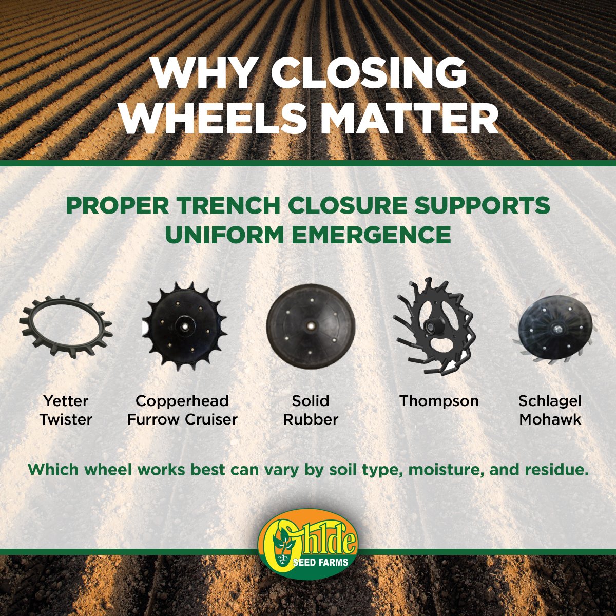 Ohlde Seed tweet media