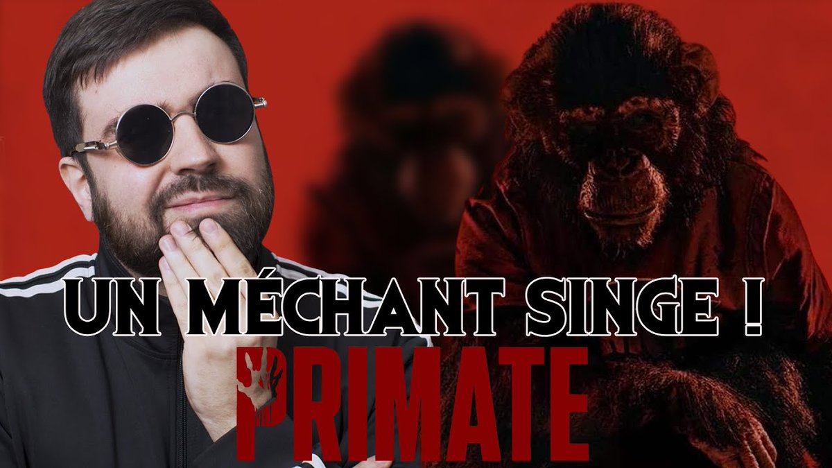 Un singe atteint par la Rage et des adolescents (un peu insupportables) piégés dans une luxueuse villa isolée à Hawaï ?

C'est Primate, et ça sort demain en salles !

Je vous en parle ici : youtu.be/ttbm5PdGeK0?si…