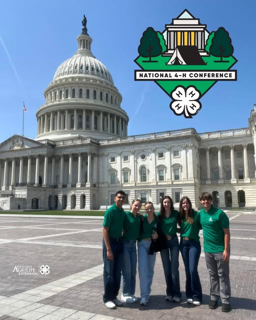 Texas 4-H tweet media