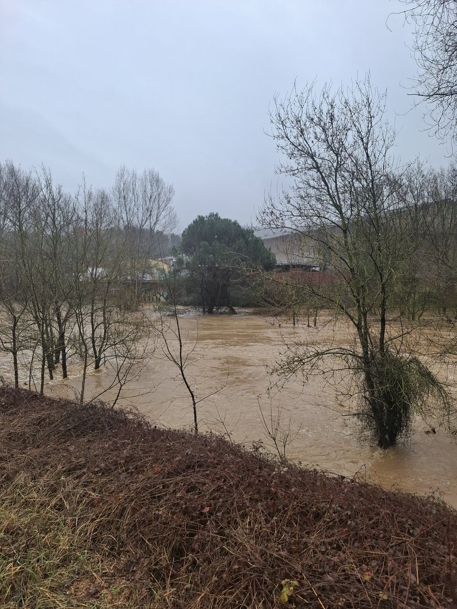 adria_compte's tweet photo. 💧El riu #Onyar i les seves planes d'inundació o planes al•luvials als municipis de Quart (La Creueta) i Girona https://t.co/8tsm2vh5af