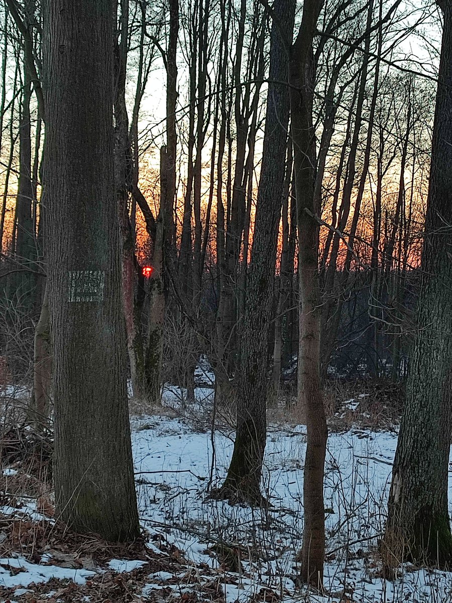 Kubicowy's tweet image. Zachód słońca coraz później.
Dzisiejszy... #sunsetalert