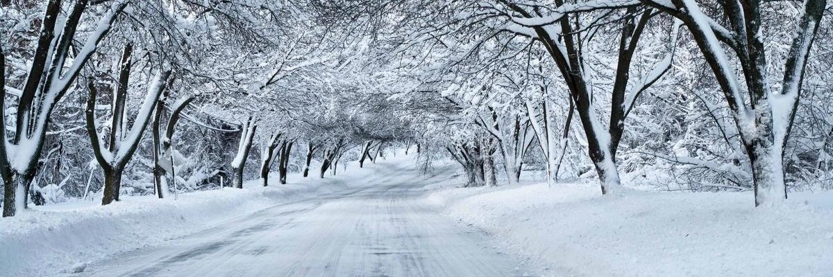 ZaurMur78's tweet photo. #Ismayilli #Azerbayjan https://t.co/h9lUHXQ9OF