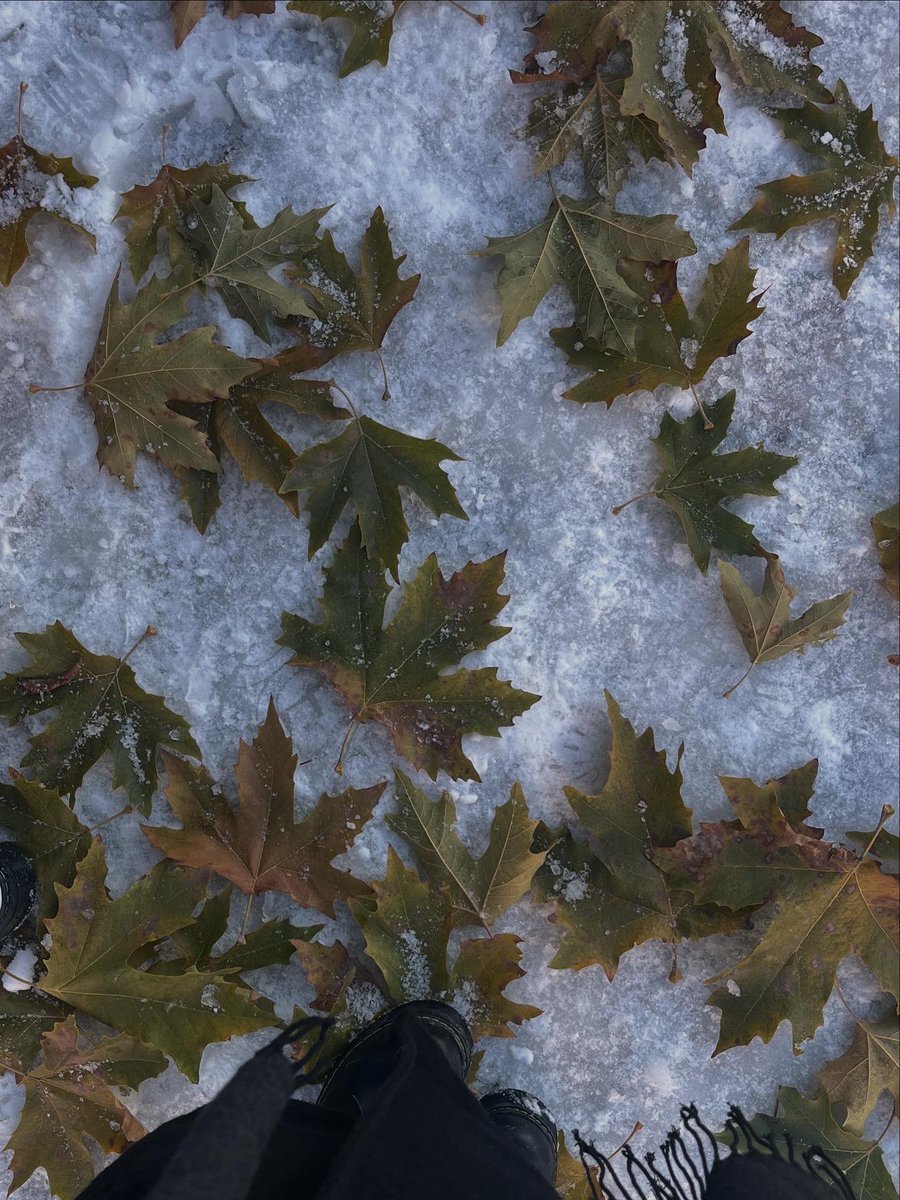 Bu akşam şahsım ile hidâyet üzerine mülahaza ettik
