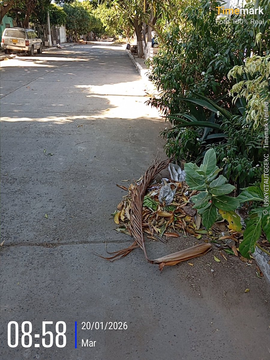 Maestro Roshi tweet media