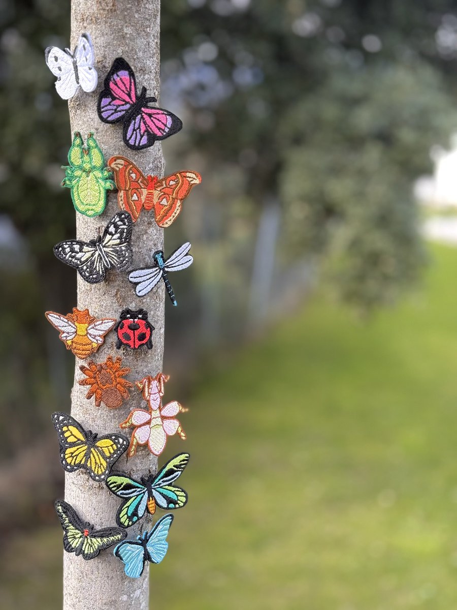 Bubu 🍊 JW Madrid COM02 PAB6 tweet media