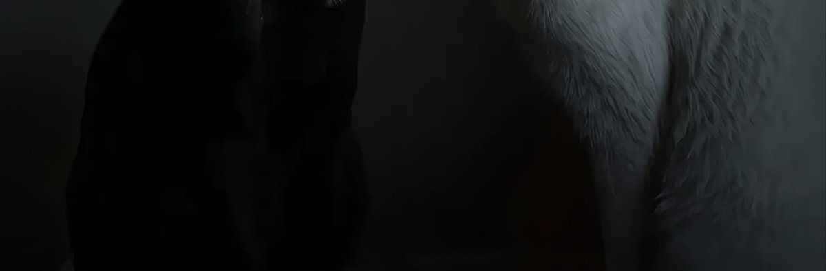 Aesthetics 𝕏 tweet media