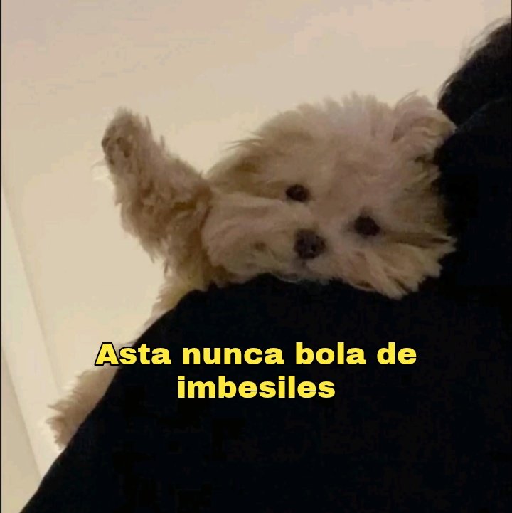 Mapaxitouwu's tweet image. 