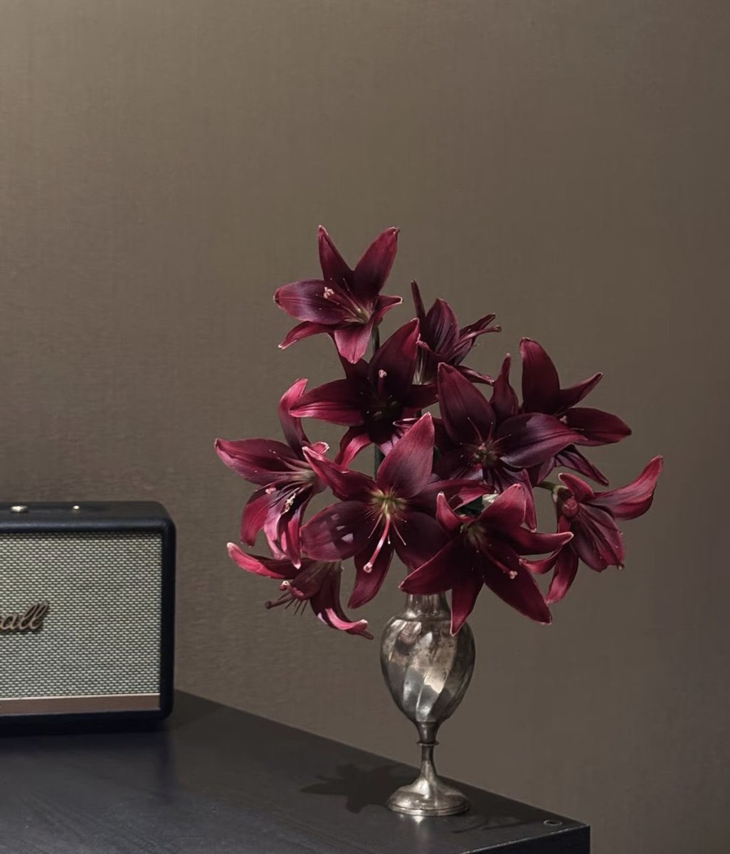 i3Moment's tweet image. Lilies