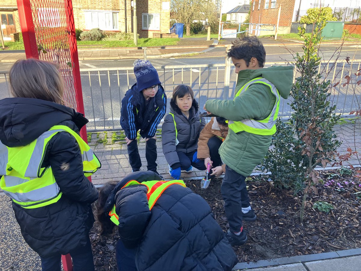 GiuInnocenti's tweet photo. The new ‘green shield’ at ⁦@ASPNW2⁩! Concrete pavement replaced by 38m2 of hedging and playable features. Thanks to Green Our Neighbourhood @BarnetCouncil⁩⁦ @MeristemDesign⁩ for making it happen and to @sarahsackman ⁩@mayorofbarnet⁩ for their bulb planting! https://t.co/2tKKBP0OWs