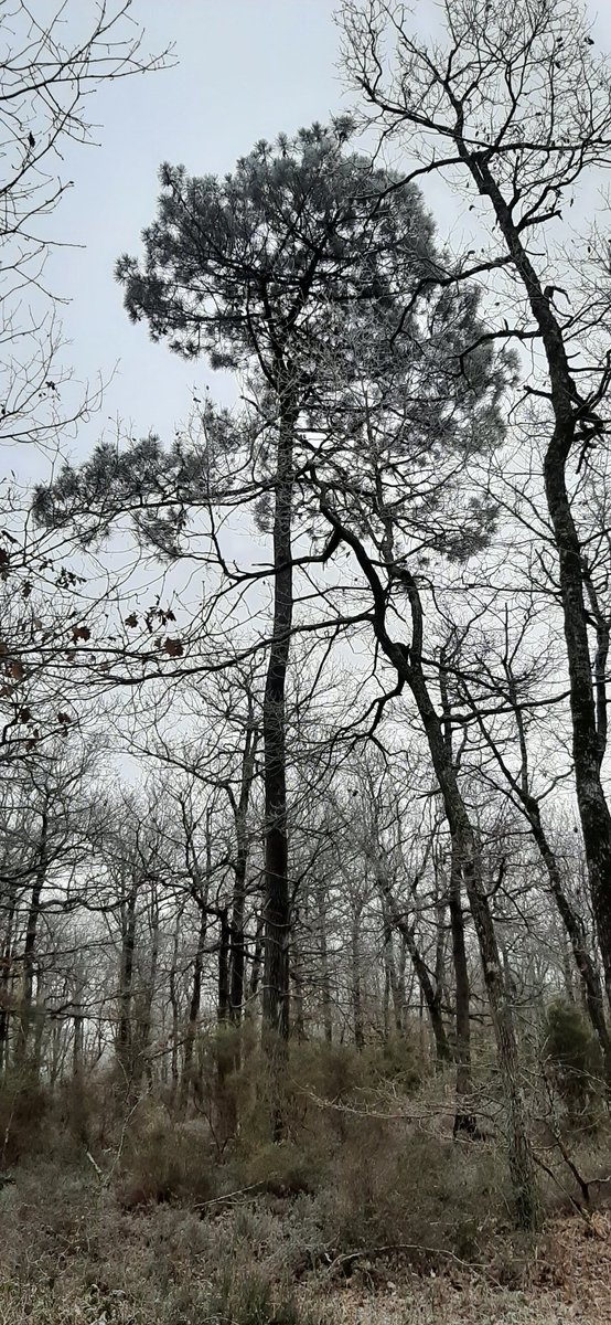 Nicolasgerard31's tweet image. Hello 😀