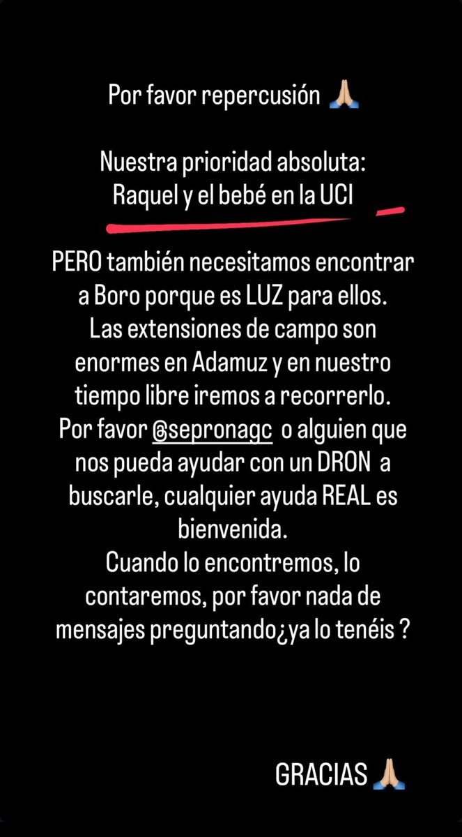 4septiembre2015's tweet image. Me da vergüenza que Ana y su familia tengan que explicar que la prioridad absoluta es Raquel (hermana de Ana) y su bebé pero también Boro, su perrito. 
Sigamos difundiendo a Boro, tiene que volver con su familia.