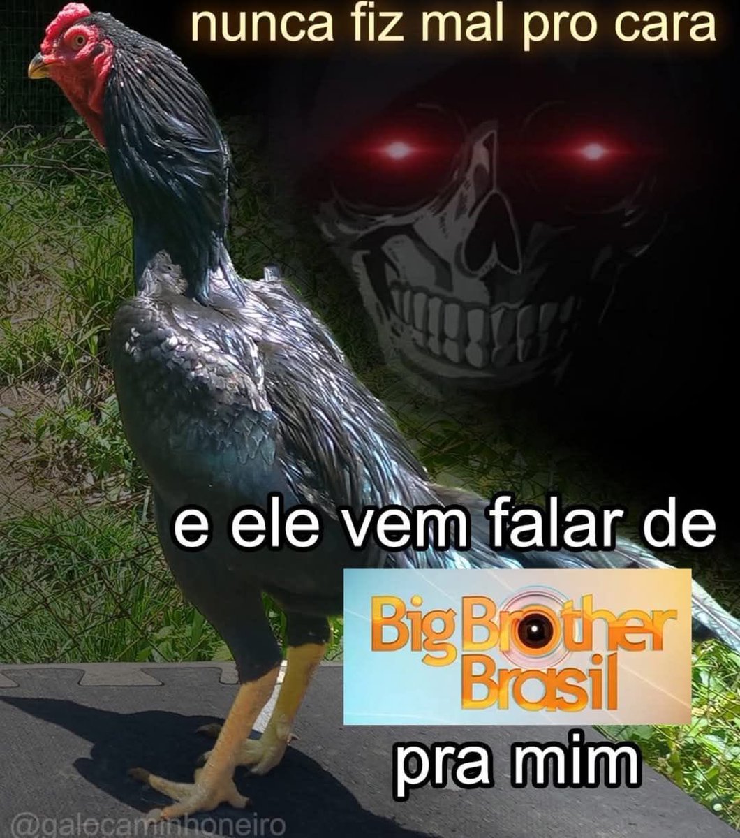 Shitpost só que de verdade (@shitpostverdade) on Twitter photo 