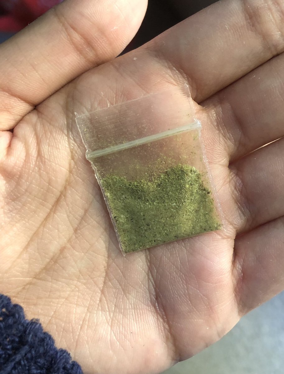 Le compre hierba de la buena a mi gato🫢