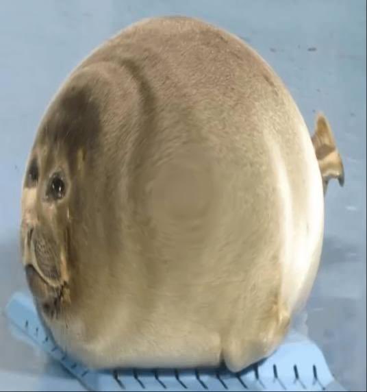 NicenatureRW's tweet image. im bored so tolacencord invite is public till sometime tomorrow probably 

discord.gg/zVwsJx2aK9