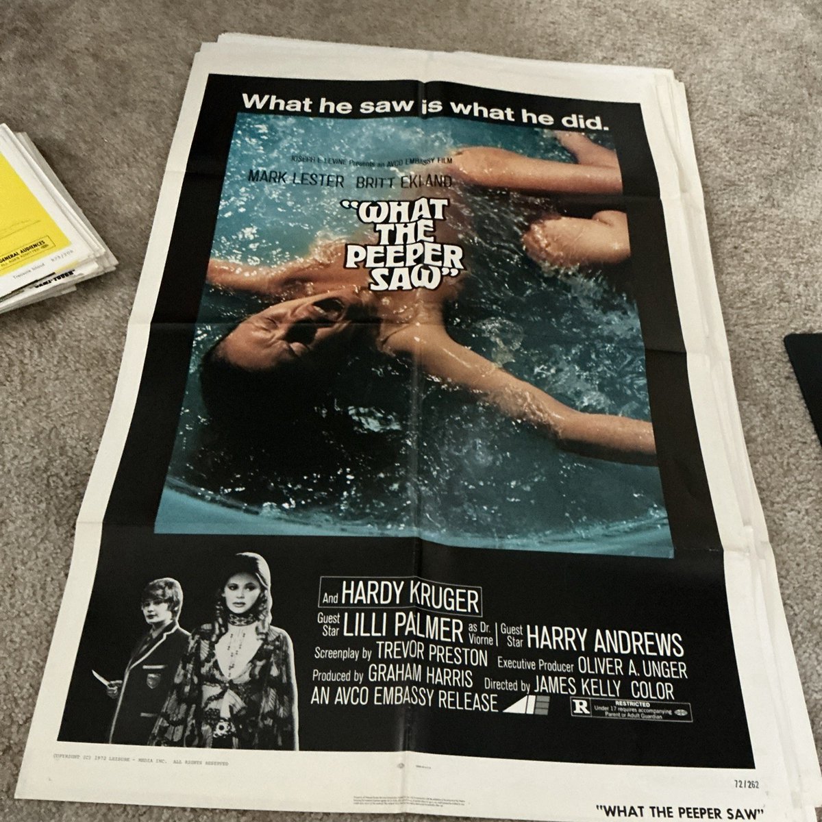 FilmPosterPosts's tweet image. One sheet movie poster lot 1960’s- 70’s  Horror, Classic, Huge Lot, Vintage LOOK

ebay.com/itm/2271767811…

#ad #MoviePoster #FilmPoster #Posters