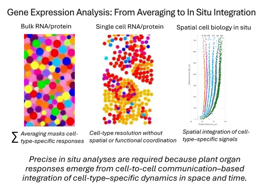Taras Pasternak tweet media