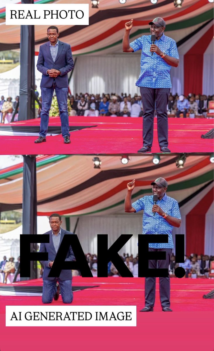 Dr. Alfred N. Mutua tweet media