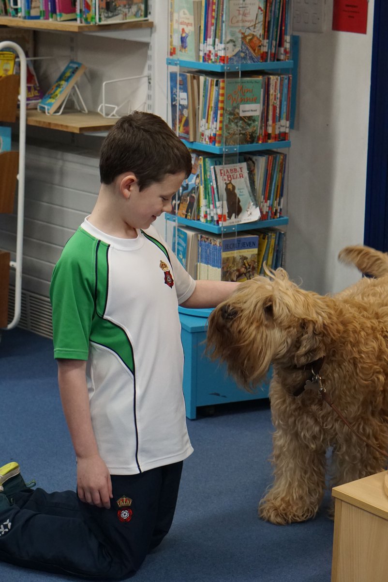 RGS Prep School tweet media