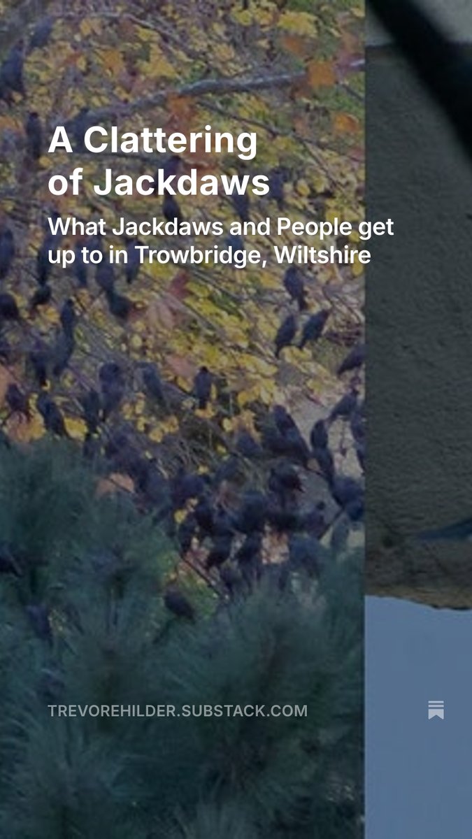 Trevor E Hilder tweet media