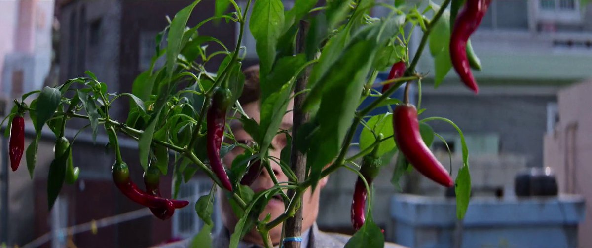 Letrushka's tweet image. 