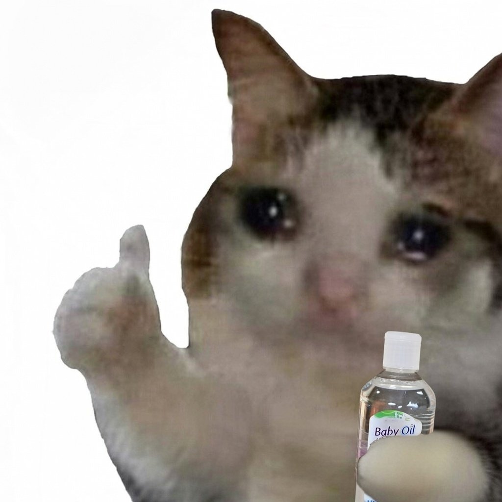 ok cat tweet media
