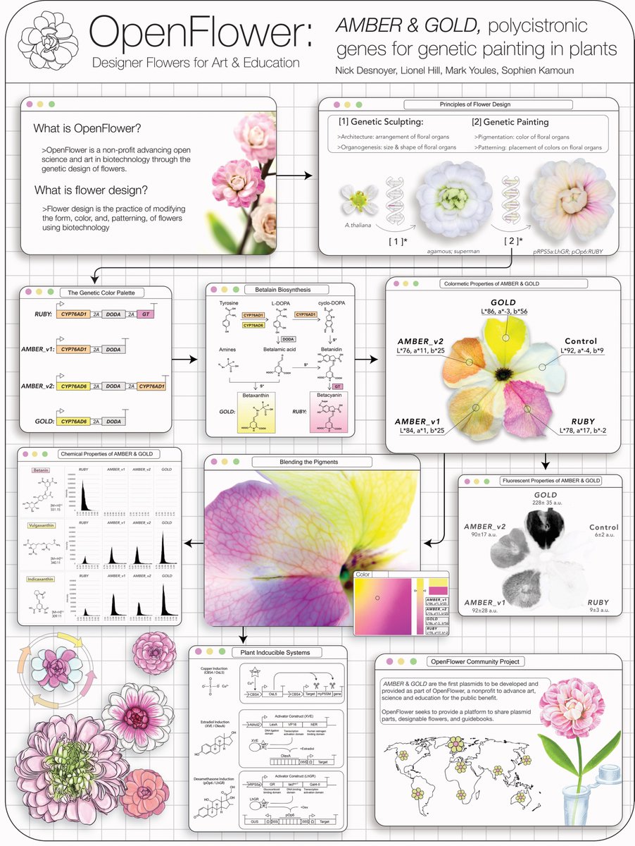 Nick Desnoyer tweet media