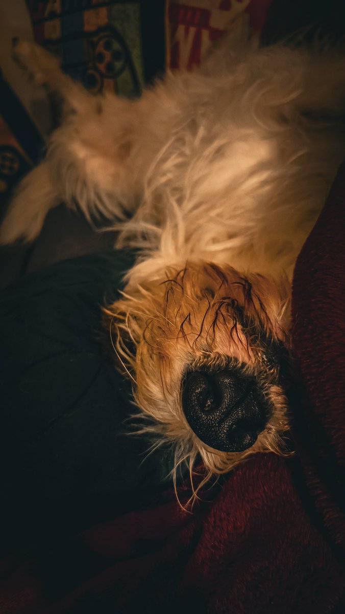 MissJazzlin's tweet image. *boop