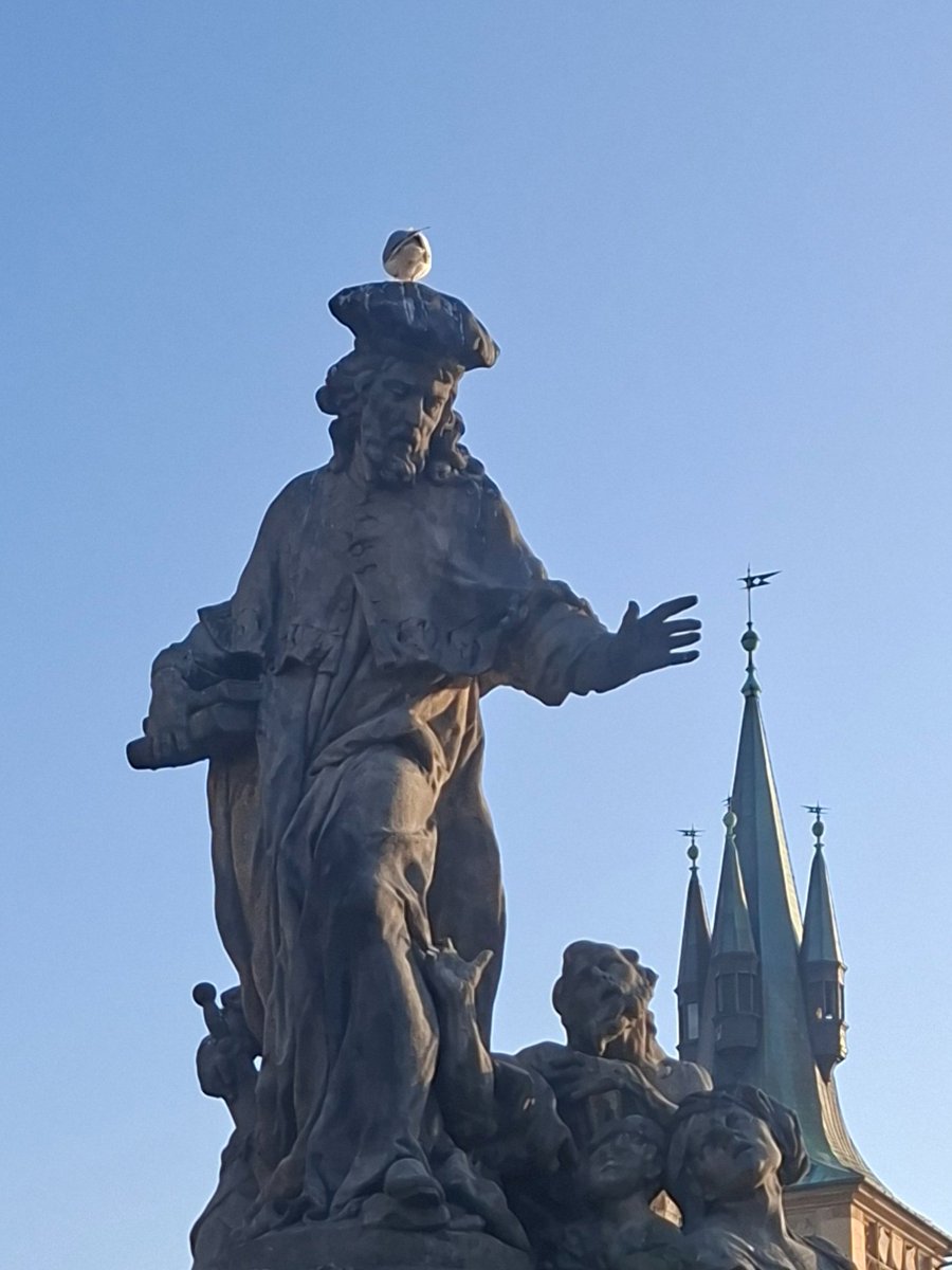 Petr Pavek tweet media