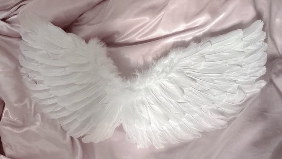 Lvspink0's tweet image. 