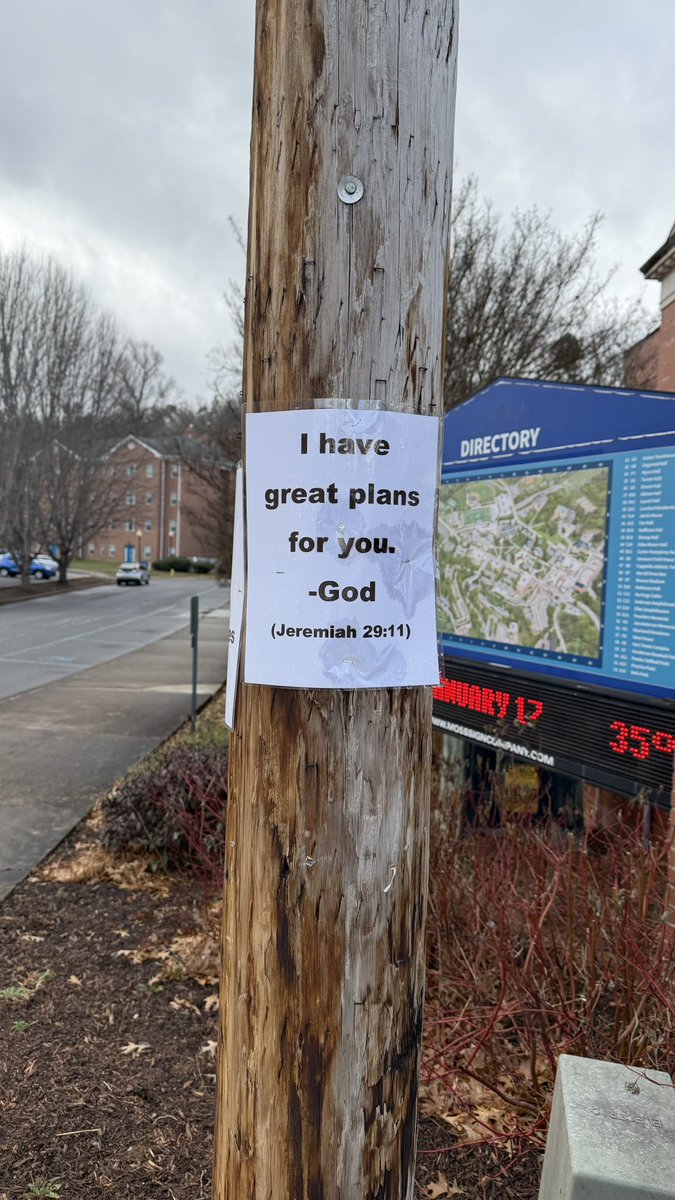 Zooner 🇦🇷 tweet media