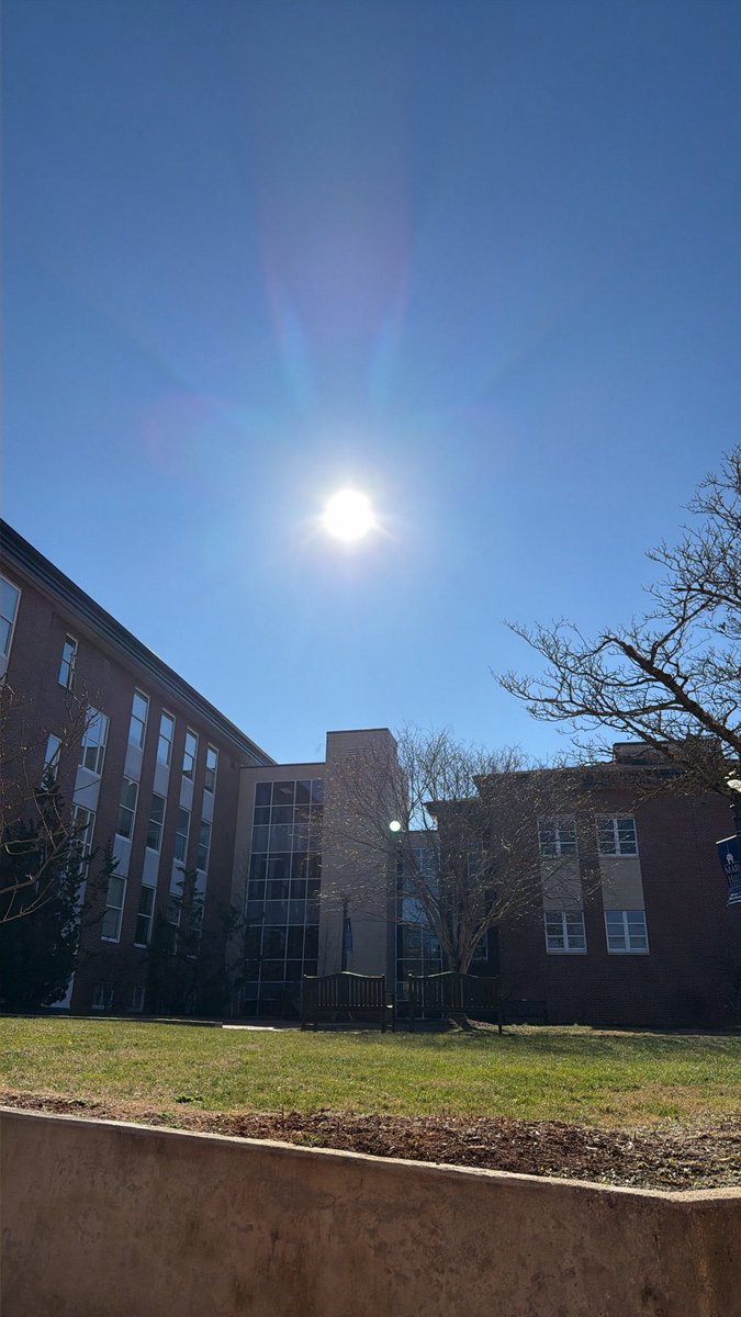 Zooner 🇦🇷 tweet media