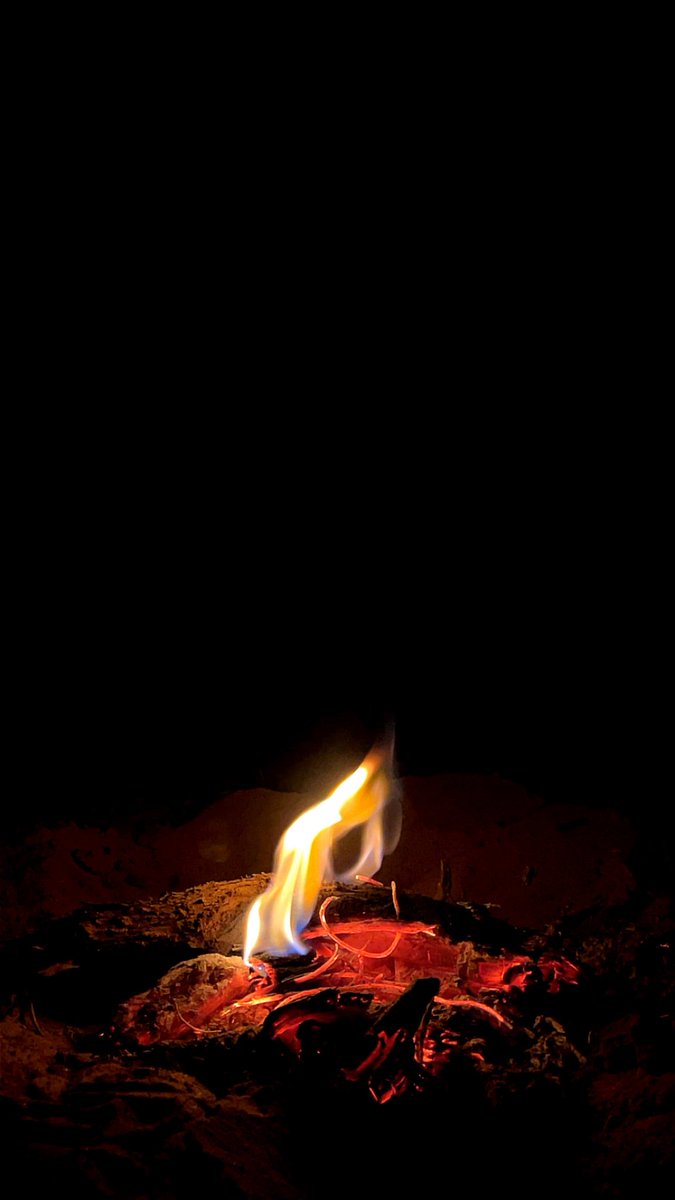 عبدالرحمن الجاسر tweet media