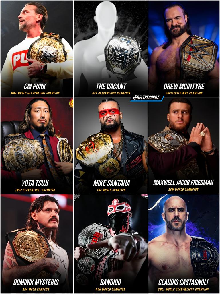 Current World Champions in Pro Wrestling..