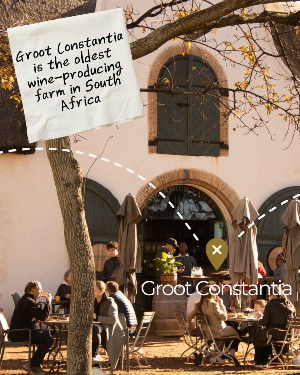 Cape Town Big 6 tweet media