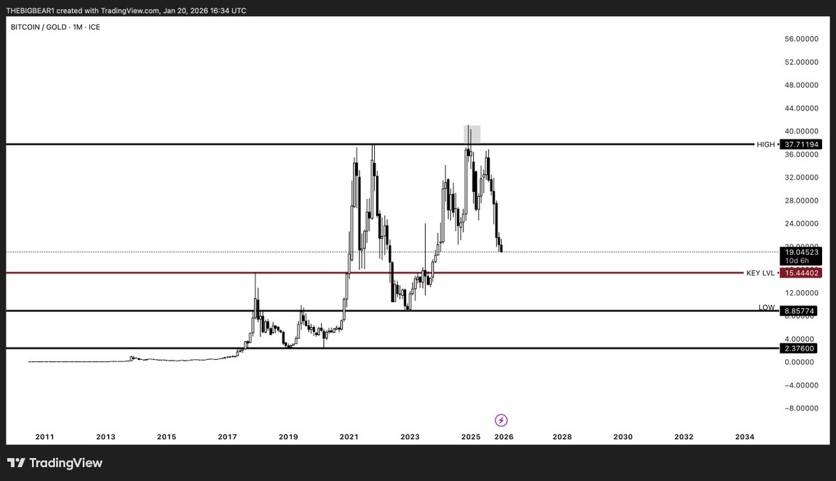TheBigBear tweet media